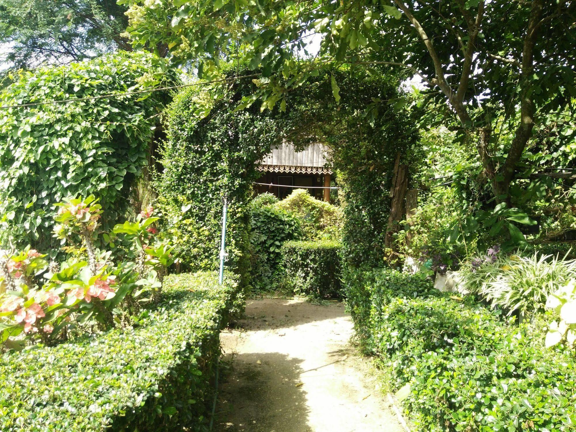 פאי Mr Jan Guesthouse מראה חיצוני תמונה