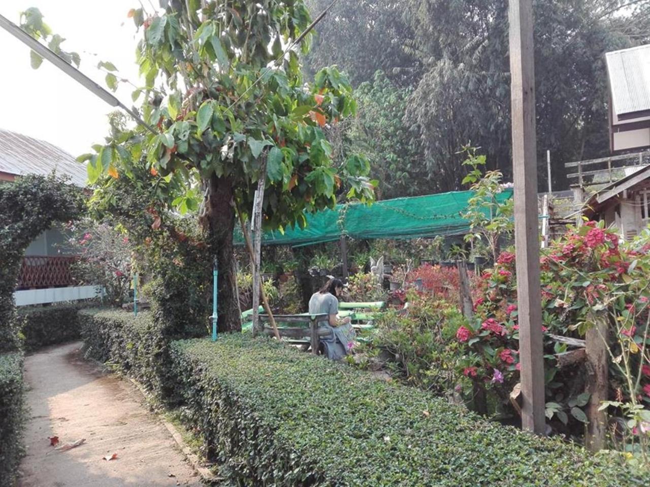 פאי Mr Jan Guesthouse מראה חיצוני תמונה