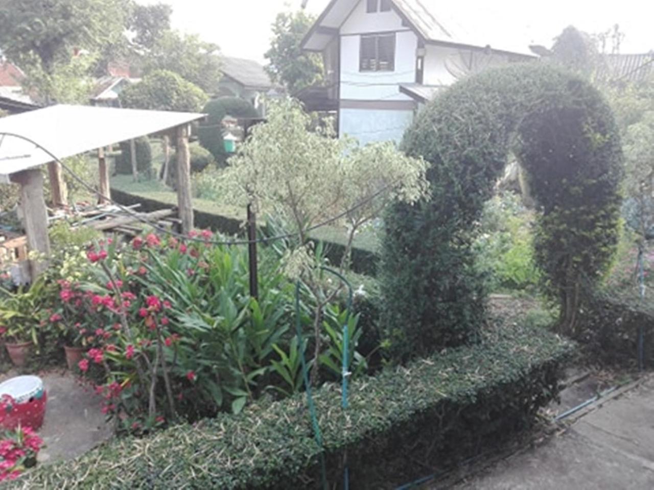 פאי Mr Jan Guesthouse מראה חיצוני תמונה