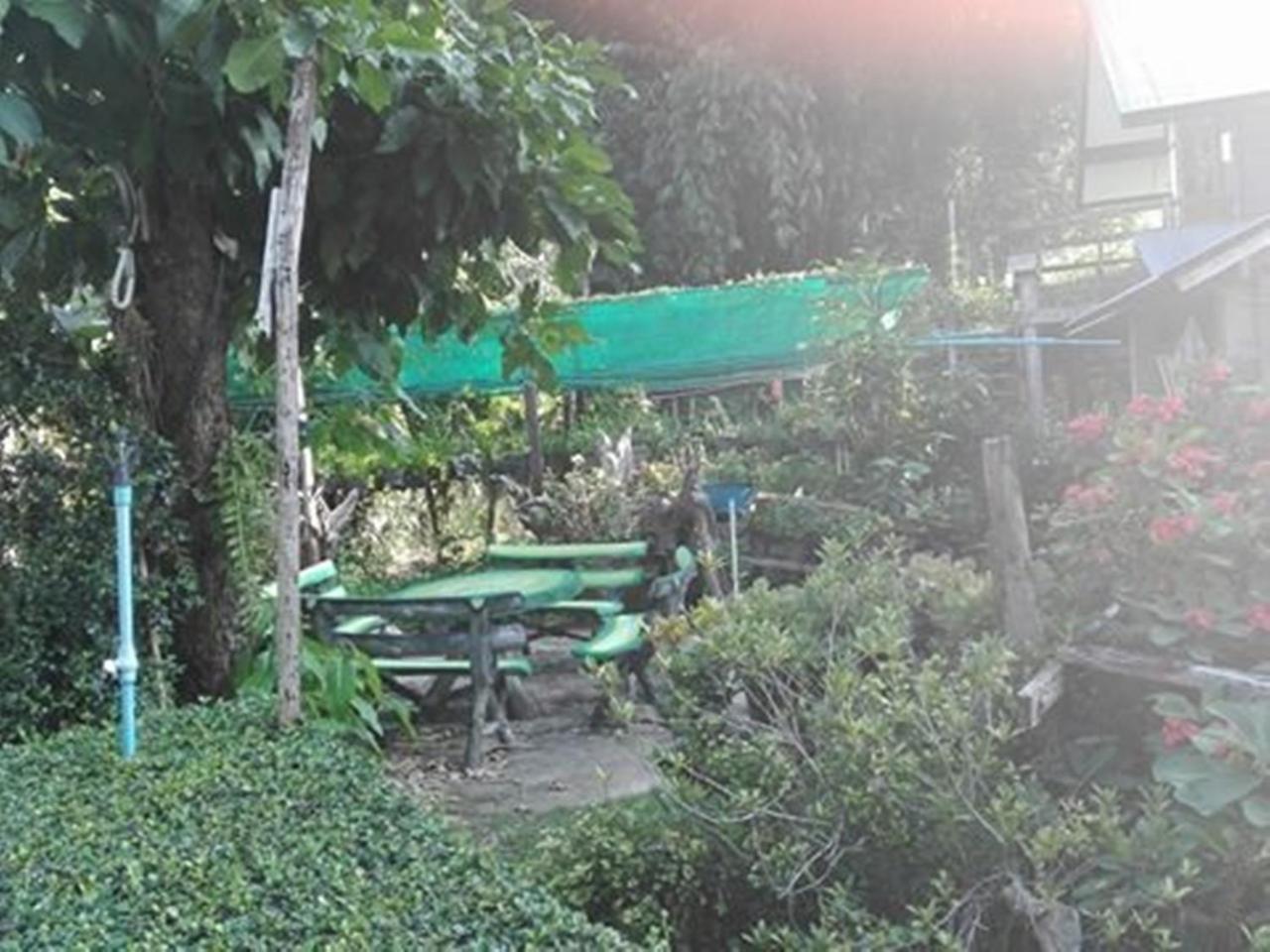פאי Mr Jan Guesthouse מראה חיצוני תמונה